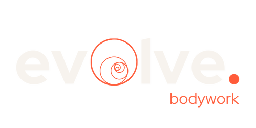 evolve bodywork
